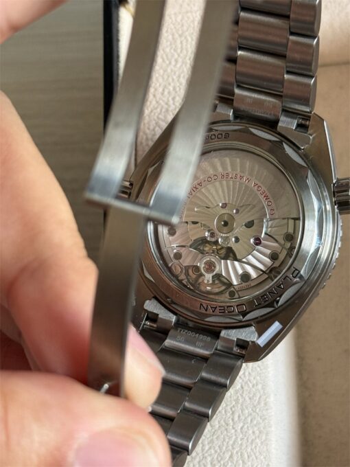 Reloj Omega Planet Ocean 600M titanium caballero